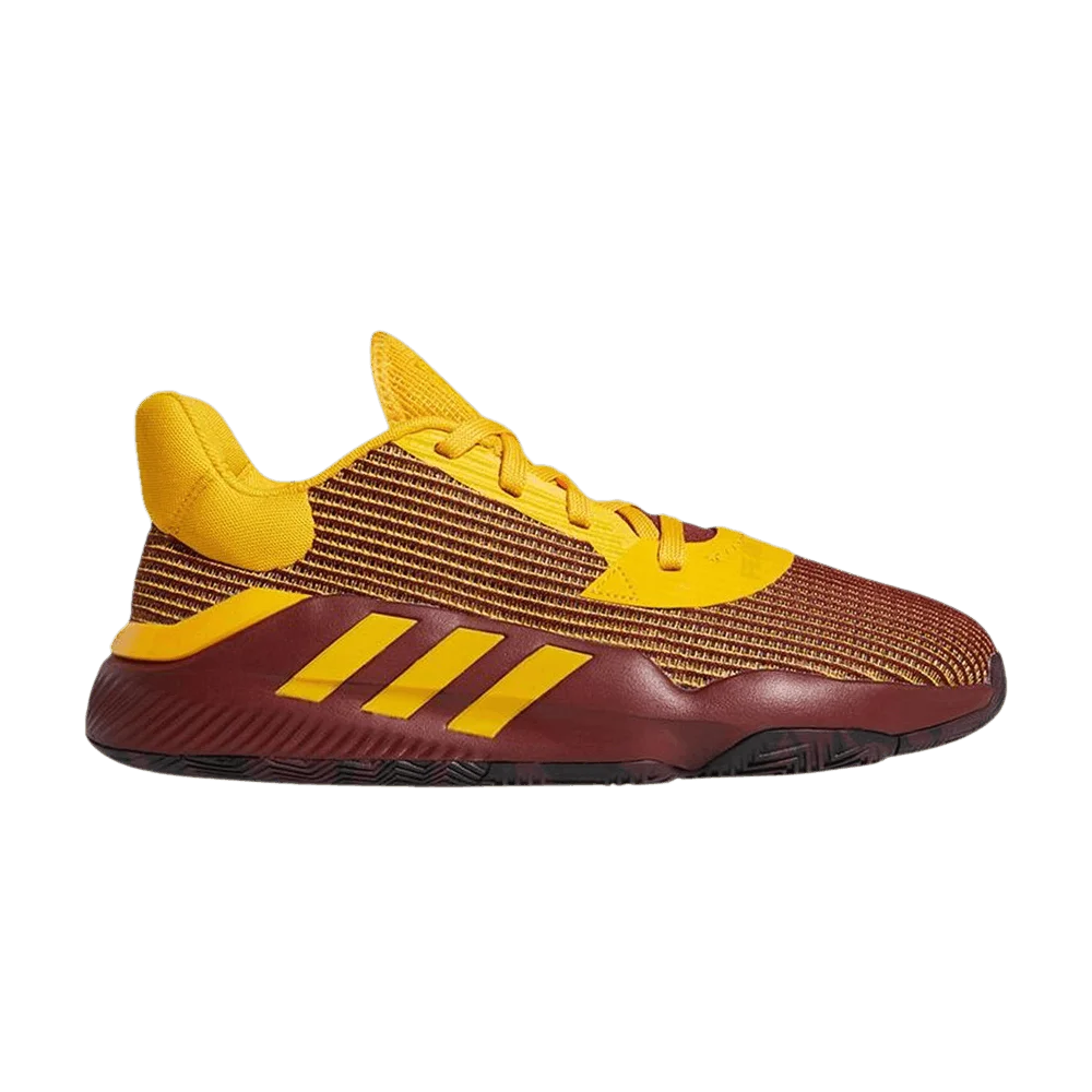 Krossovki-Adidas-Pro-Bounce-2019-Low-GCA-Arizona-State