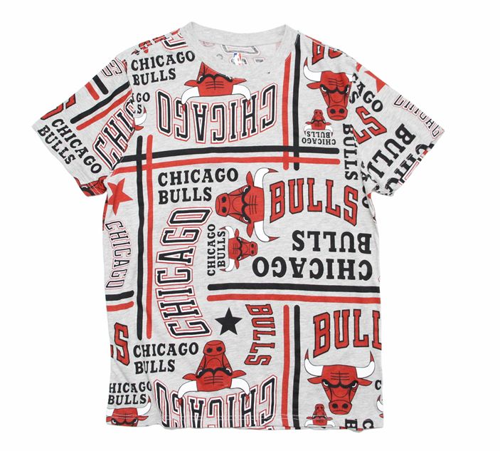 Футболка 2019 Chicago Bulls Tee NBA Series
