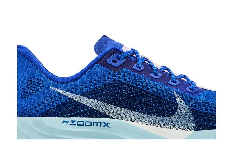 Кроссовки Nike Pegasus Plus 'Racer Blue'