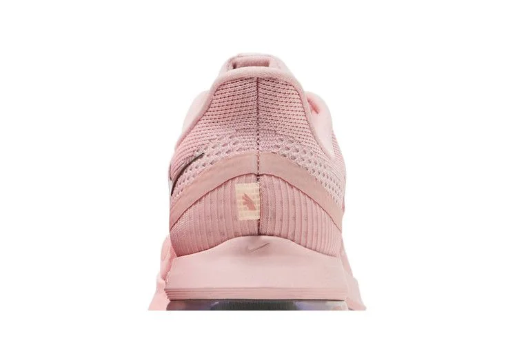 Кроссовки Nike Wmns Pegasus Premium 'Atmosphere'