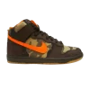 dunk-high-pro-sb-brian-anderson-305050-281-100x100