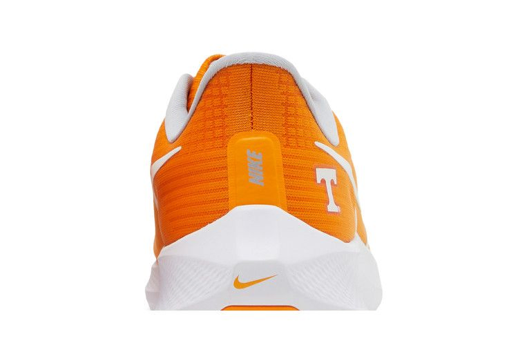 Кроссовки Nike Air Zoom Pegasus 39 'Tennessee'