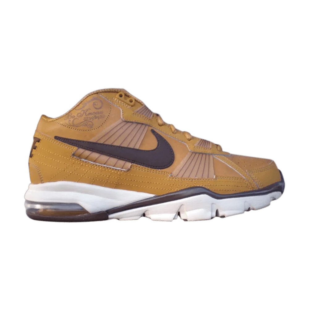 Krossovki-Nike-Air-Trainer-SC-2010-Premium-Bo-Knows-Pack-Wheat