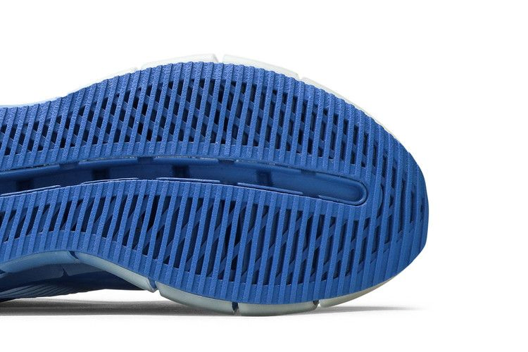 Кроссовки Reebok COTTWEILER x Zig 3D Storm 'Blue'