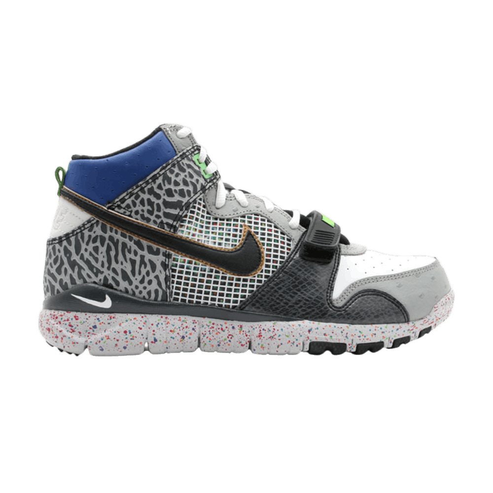 trainer-dunk-high-mita-317390-001