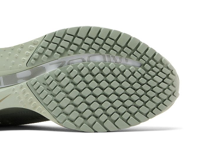 Кроссовки Nike Pegasus Premium 'Jade Horizon'