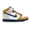 dunk-high-premium-306968-141-100x100
