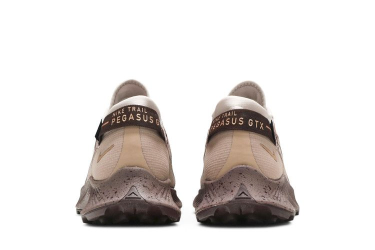 Кроссовки Nike Wmns Pegasus Trail 2 Gore-Tex 'Desert Dust Mauve'