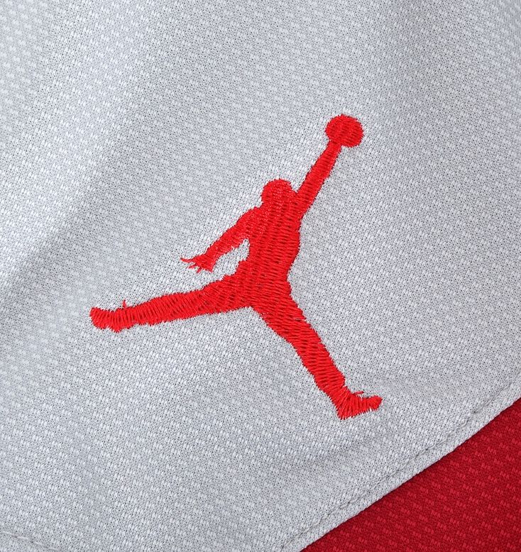 SHorty-Air-Jordan-8