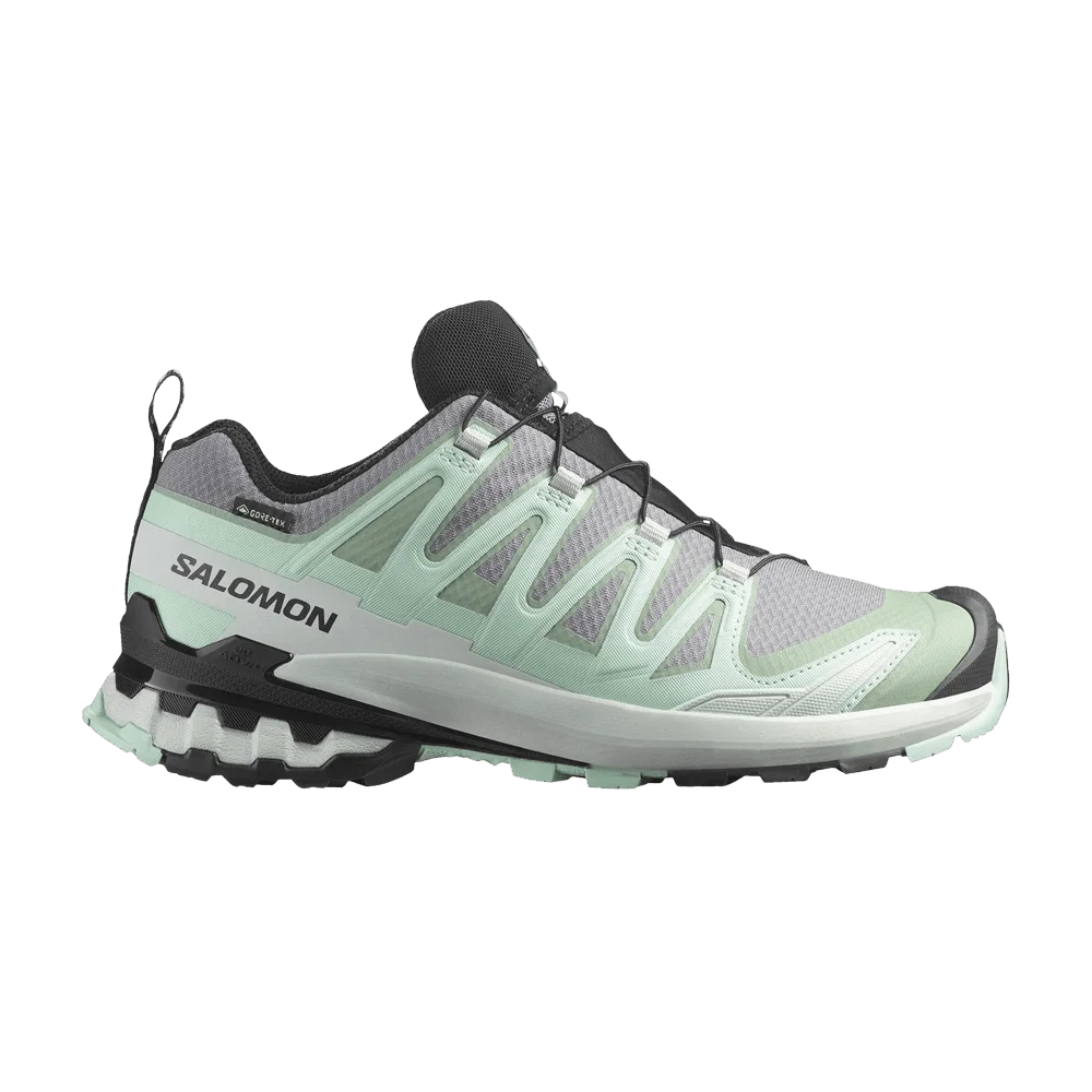 Кроссовки Salomon Wmns XA Pro 3D V9 GORE-TEX 'Quiet Shade'
