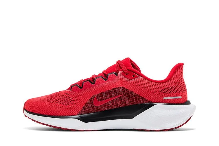 Кроссовки Nike Air Zoom Pegasus 41 'Georgia 2024'