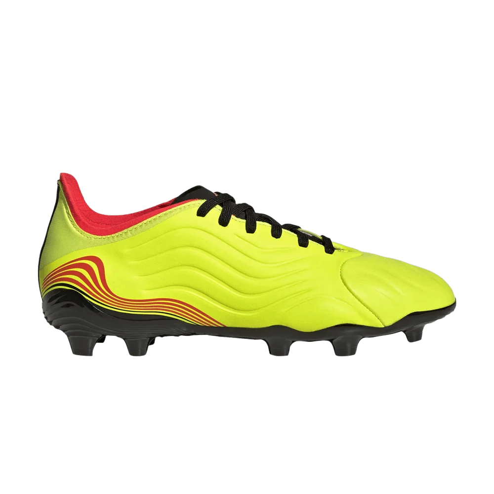 Krossovki-Adidas-Copa-Sense.1-FG-J-Game-Data-Pack
