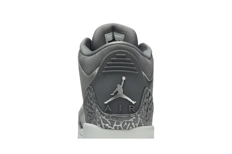 Кроссовки Air Jordan 3 Retro Premium HC GG 'Chrome'
