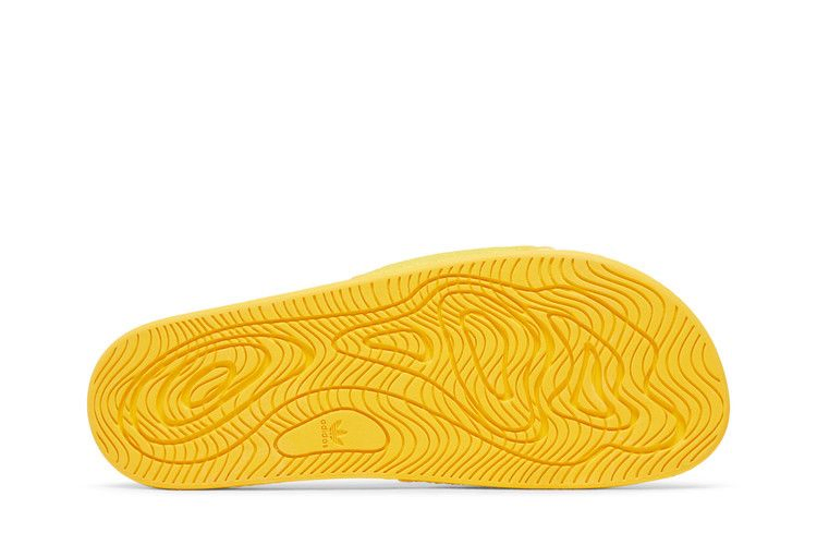 Pharrell x adidas Chancletas Hu Slides 'Bold Gold'