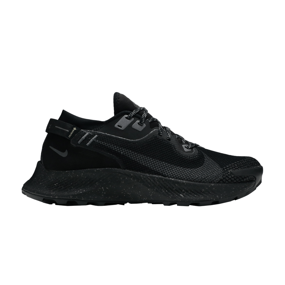 Кроссовки Nike Pegasus Trail 2 GTX 'Black Metallic Dark Grey'