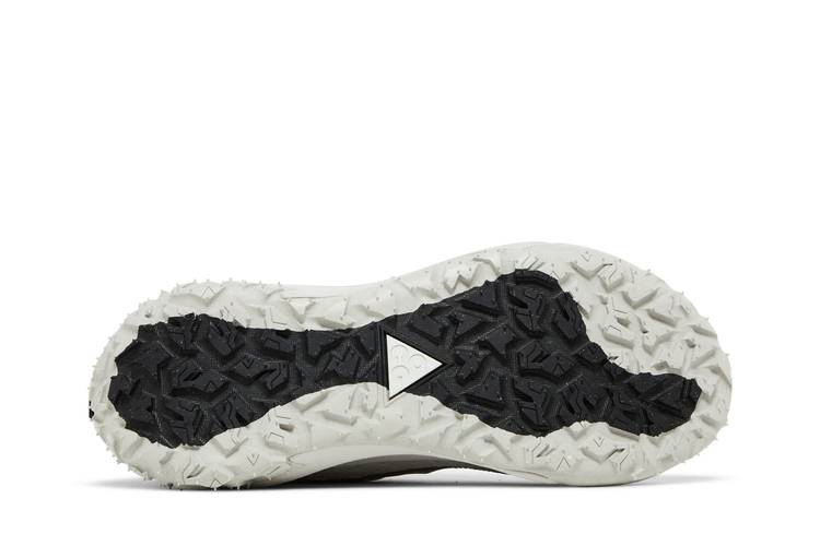 Кроссовки Nike ACG Mountain Fly 2 Low 'Iron Ore'
