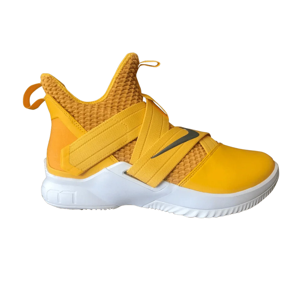Krossovki-Nike-LeBron-Soldier-12-TB-University-Gold