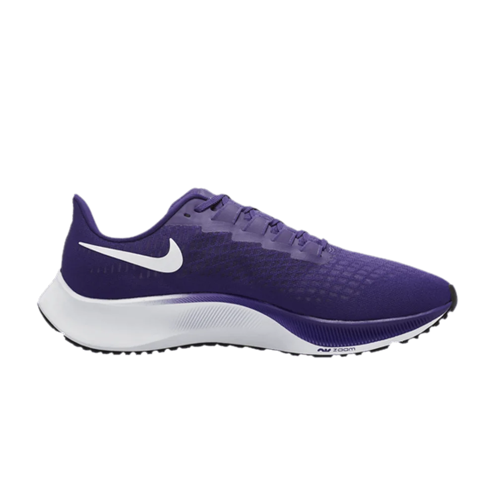 Krossovki-Nike-Air-Zoom-Pegasus-37-TB-Court-Purple