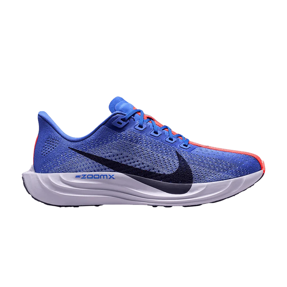 Krossovki-Nike-Wmns-Pegasus-Plus-Sapphire-Light-Thistle-Violet-Mist