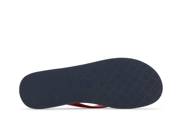 Сандалии Gucci Thong Sandal 'Blue Chevron Red Resin'