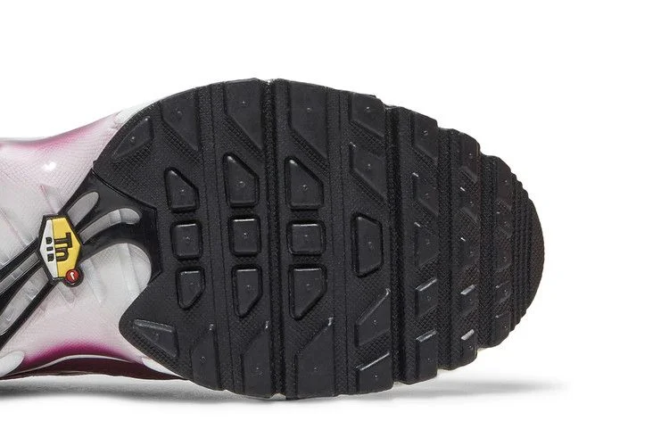 Кроссовки Nike Air Max Plus GS 'Dark Beetroot'