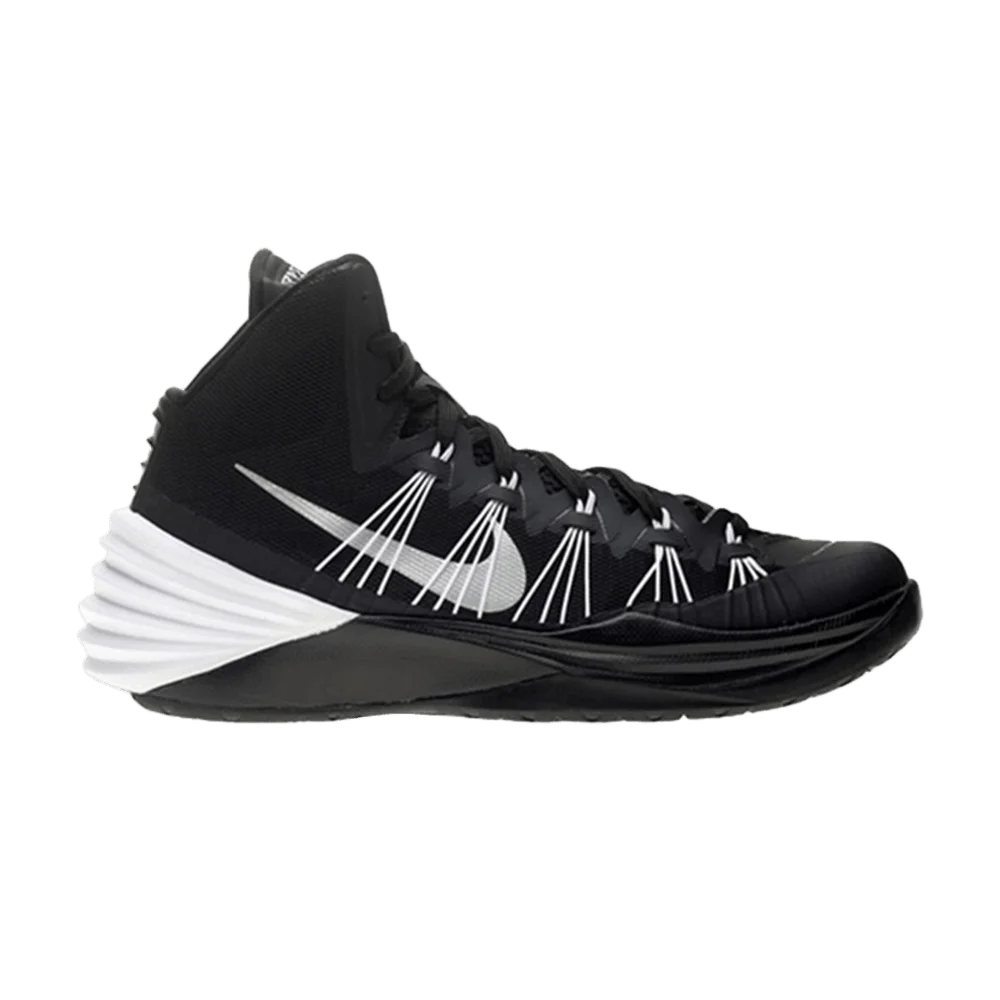 Krossovki-Nike-Hyperdunk-2013-TB-Black-Silver