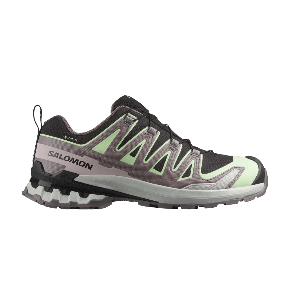 Кроссовки Salomon Wmns XA Pro 3D V9 GORE-TEX 'Black Grey Violet'