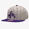 Mitchell-Ness-Gray-Toronto-Raptors-Hardwood-Classics-Pin-Pop-Snapback-Hat-100x100