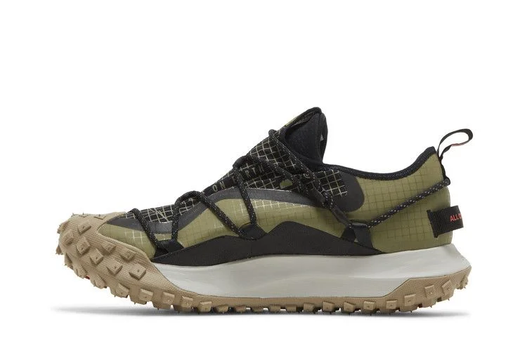 Кроссовки Nike ACG Mountain Fly Low SE 'Pilgrim'