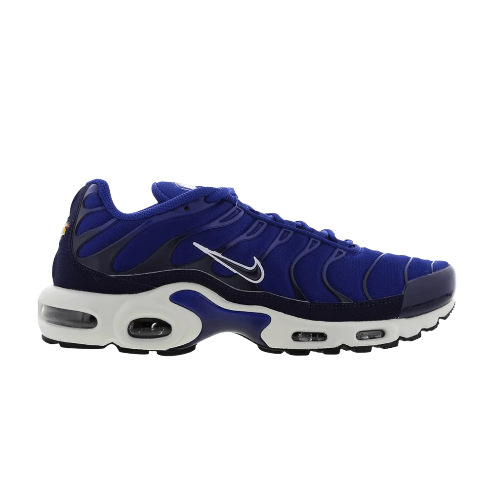 Krossovki-Nike-Air-Max-Plus-TN-Indigo-Force