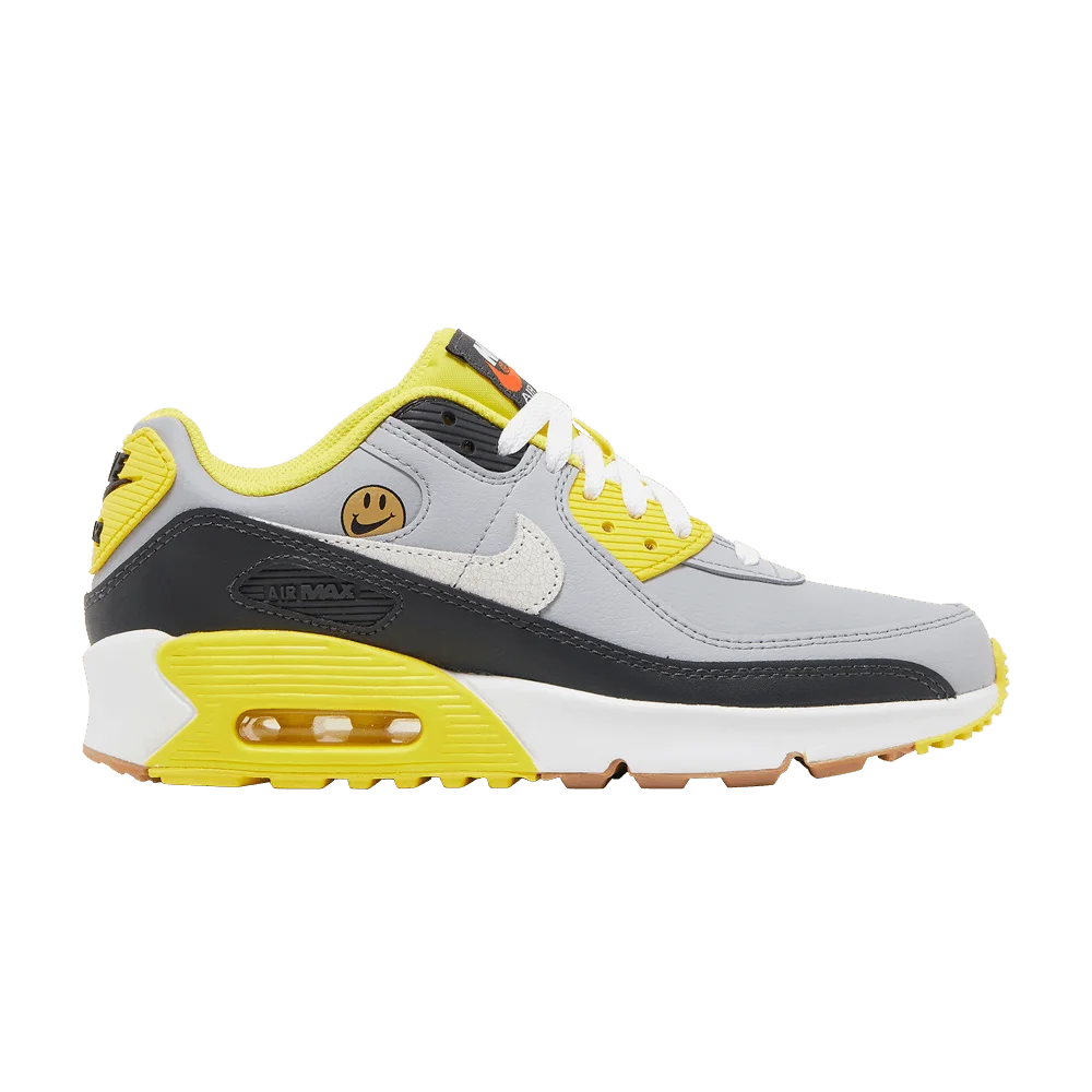 Кроссовки Nike Air Max 90 Leather GS 'Go The Extra Smile'