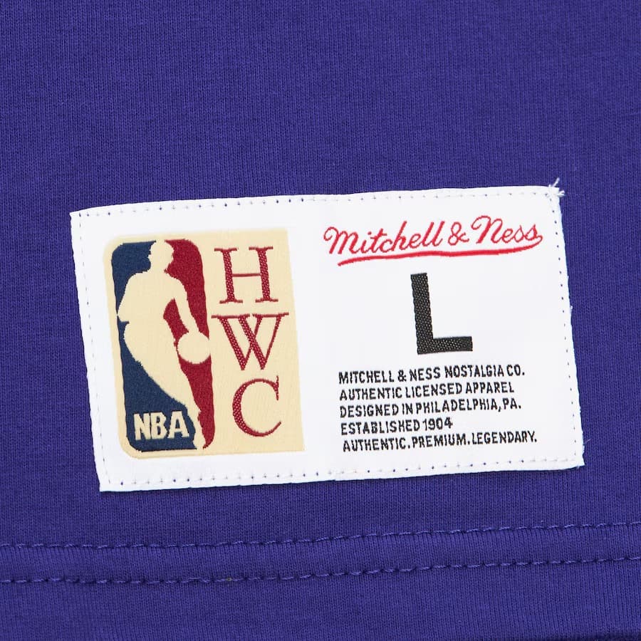 Футболка Mitchell & Ness Purple Charlotte Hornets Team OG 3.0 Vintage T-Shirt