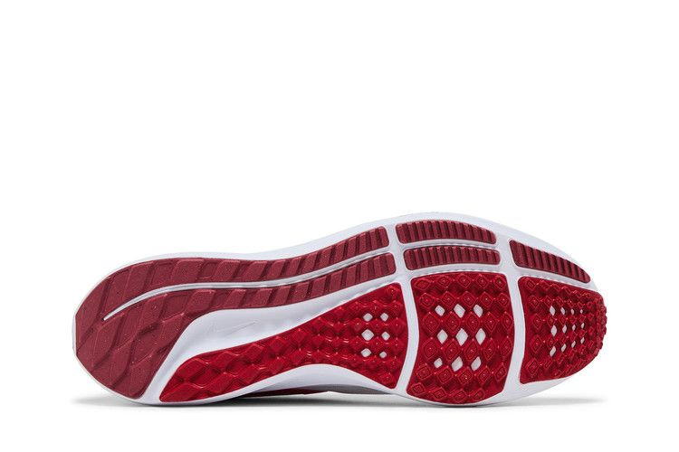 Кроссовки Nike Air Zoom Pegasus 39 'Platinum Tint Light Crimson'