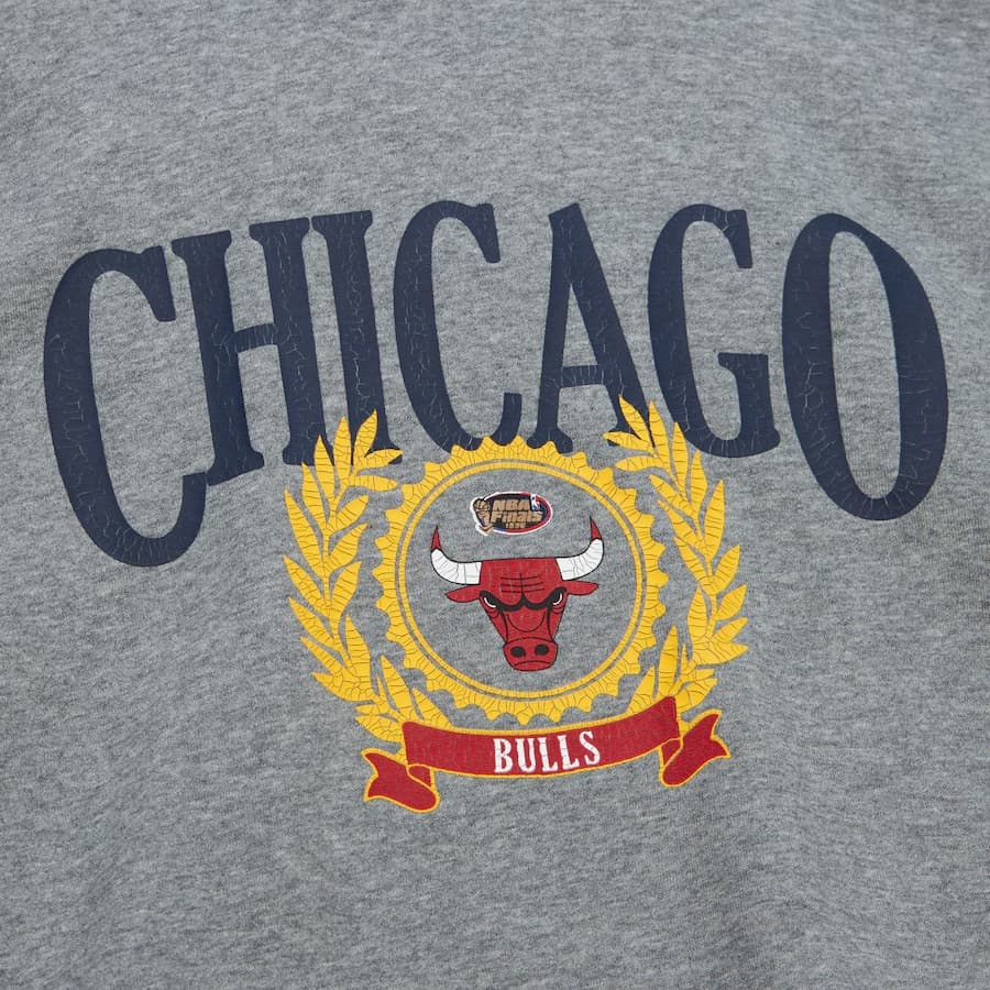 Худи Mitchell & Ness Gray Chicago Bulls Collegiate Pullover Hoodie