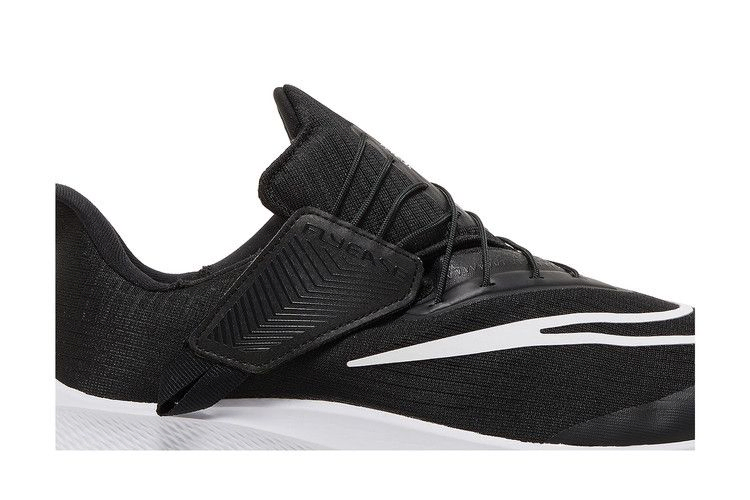 Кроссовки Nike Air Zoom Pegasus 39 FlyEase Extra Wide 'Black White'