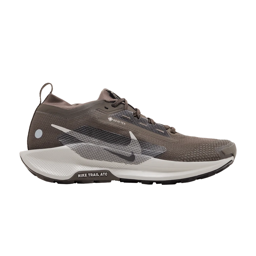 Кроссовки Nike Pegasus Trail 5 GORE-TEX 'Ironstone Velvet Brown'
