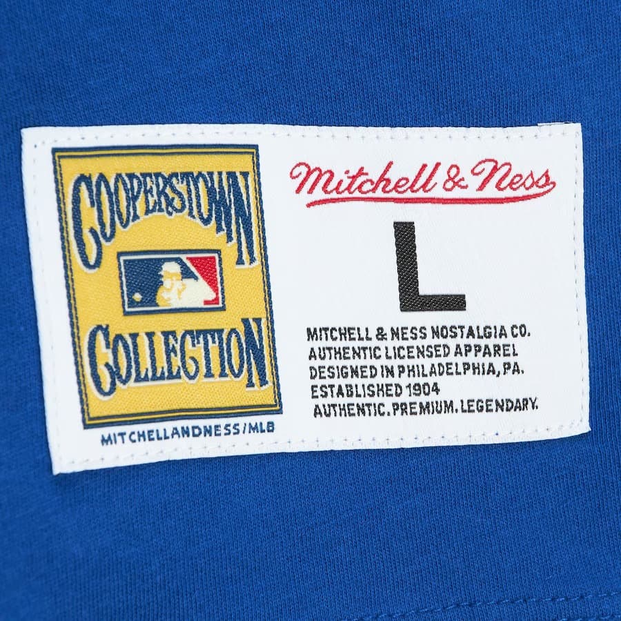 Футболка Mitchell & Ness Royal Chicago Cubs Color Blocked T-Shirt
