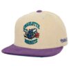 Mitchell-Ness-2-Tone-Team-Cord-Fitted-HWC-Charlotte-Hornets-Hat-100x100