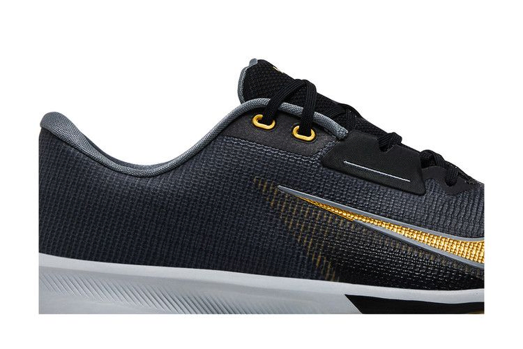 Кроссовки Nike Air Zoom Infinity Tour 2 Golf 'Black Infinite Gold'
