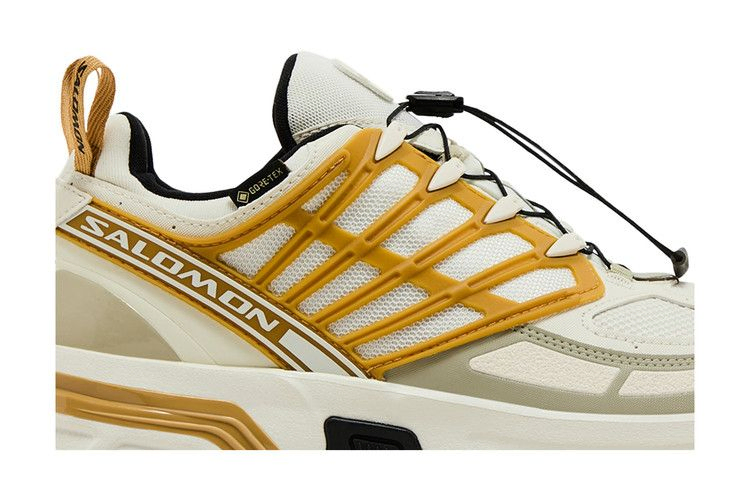 Кроссовки Salomon ACS Pro GORE-TEX 'Icicle Antelope'
