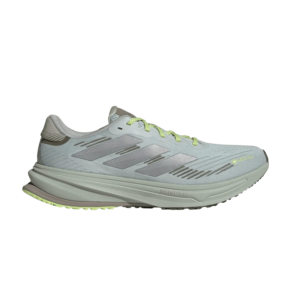 Кроссовки adidas Supernova Rise GTX 'Wonder Silver Silver Metallic'