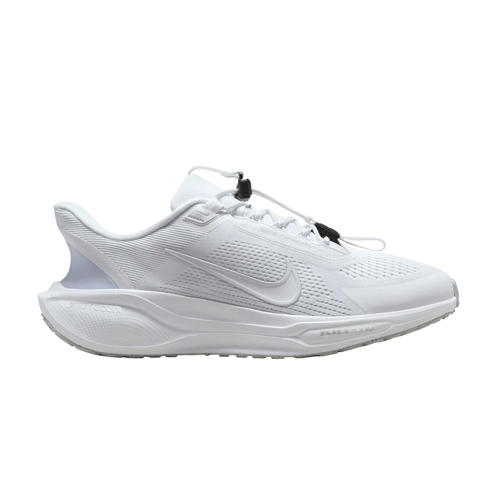Кроссовки Nike Air Zoom Pegasus 41 EasyOn 'White Pure Platinum'