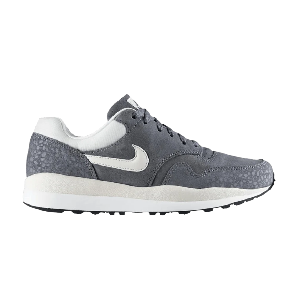 Krossovki-Nike-Air-Safari-Cool-Grey
