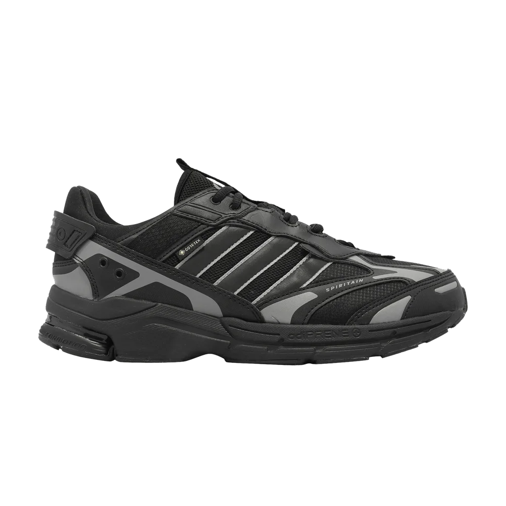 Krossovki-adidas-Spiritain-2000-GORE-TEX-Black-Dark-Grey