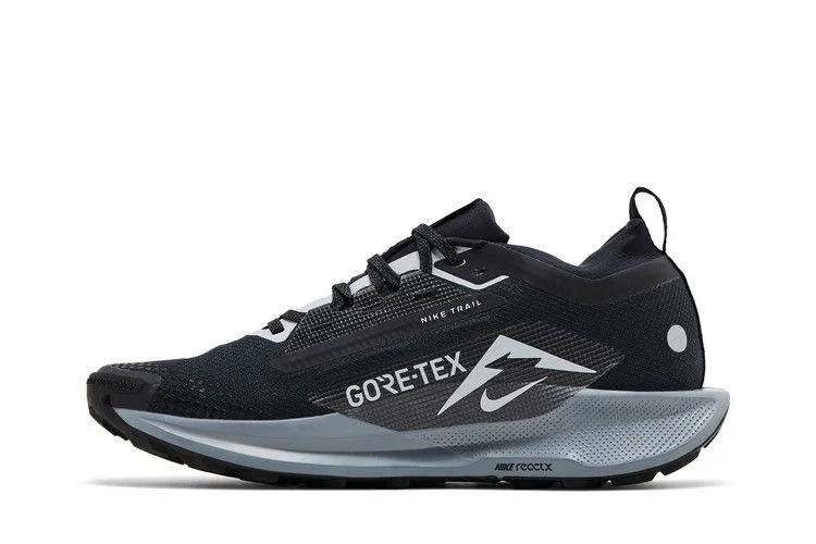 Кроссовки Nike Pegasus Trail 5 GORE-TEX 'Black Wolf Grey'