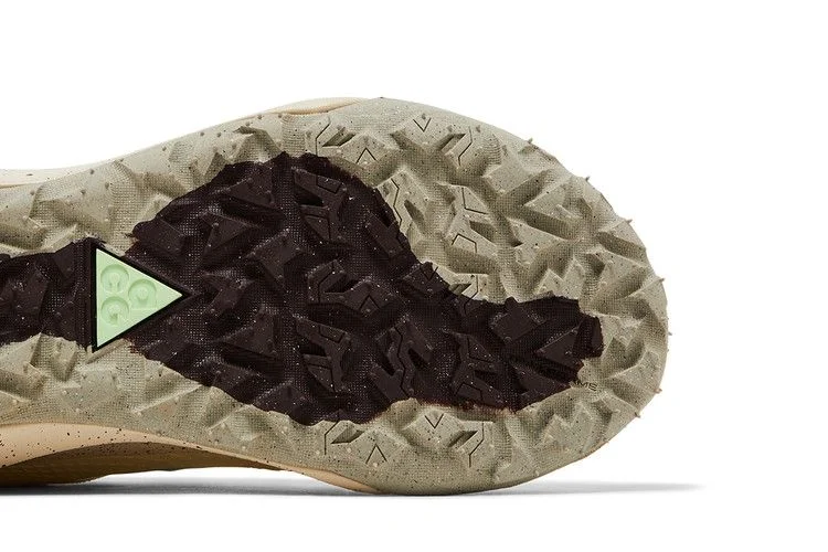 Кроссовки Nike ACG Mountain Fly 2 Low 'Sail Earth'