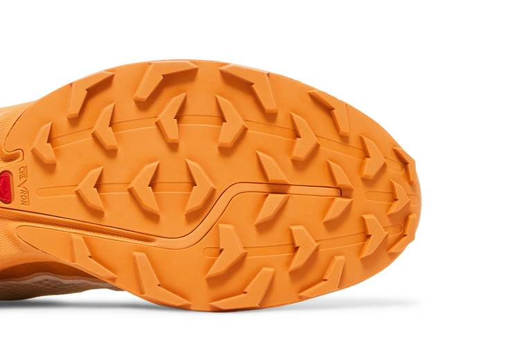 Кроссовки Salomon XT-6 FT 'Vanilla Ice Hazelnut'