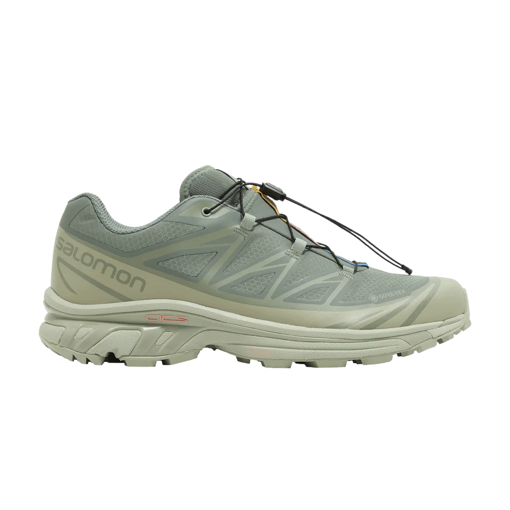 Кроссовки Salomon XT-6 GORE-TEX 'Desert Sage'