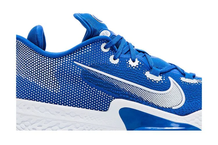 Krossovki-Nike-Air-Zoom-BB-NXT-TB-Game-Royal-1