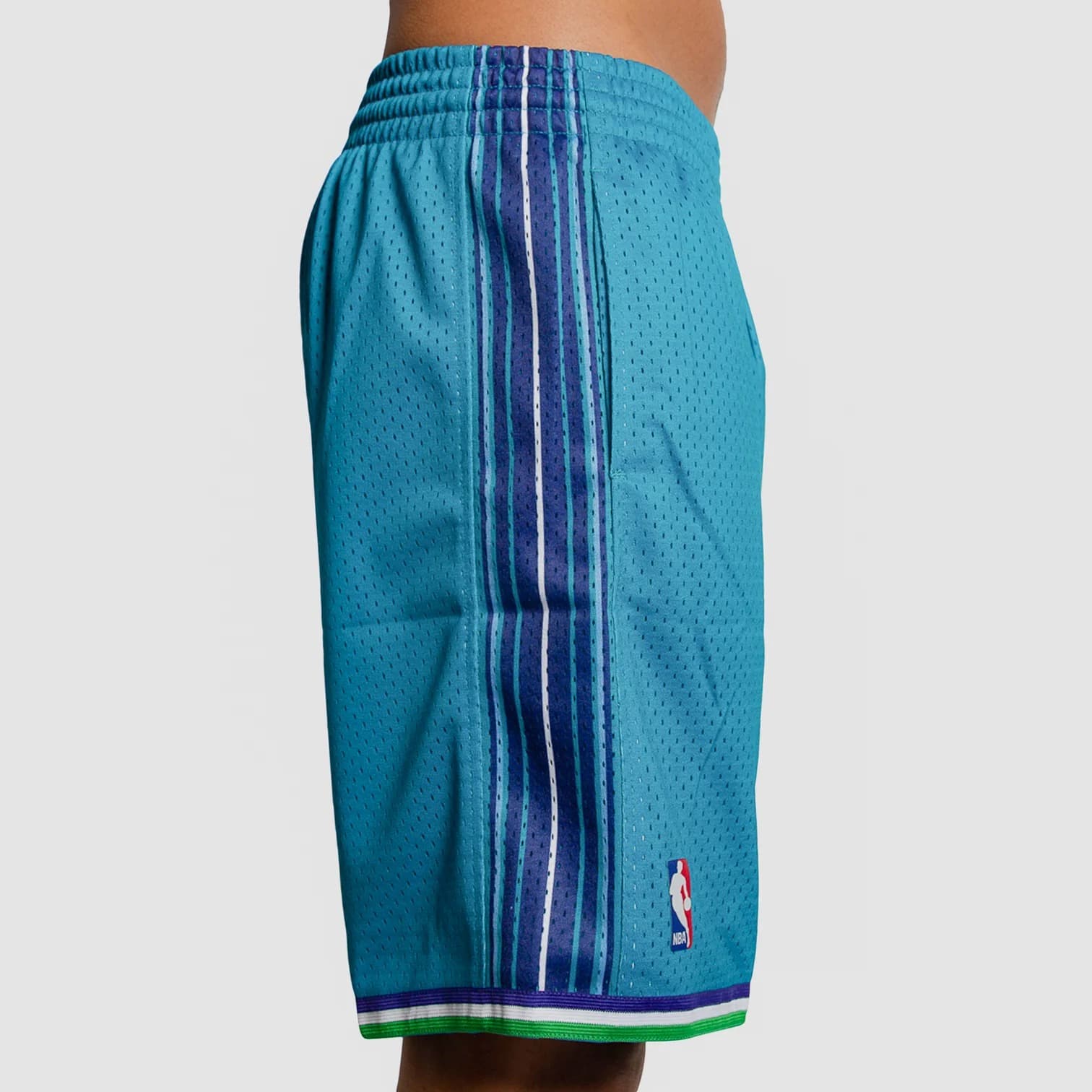 Спортивные шорты Mitchell & Ness Charlotte Hornets 1999-00 Hardwood Classics Throwback Swingman NBA Shorts